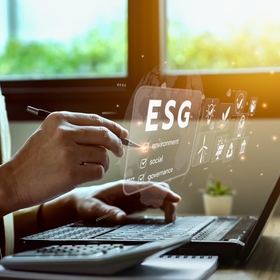 Corporate Advisory - ESG Strategy